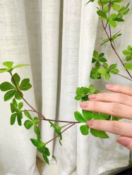 -MOMO·Nail美甲美睫