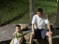 -宝安西湾红树林湿地公园