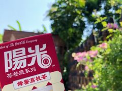 -美的鹭湖森林度假区