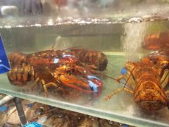 -亚马逊蒸汽活海鲜自助(LCM置汇旭辉广场店)