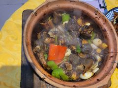 -天宝食坊·啫啫煲大排档(西华路店)