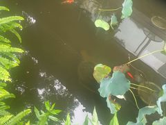 -大妙火锅·非物质文化遗产(东湖公园店)