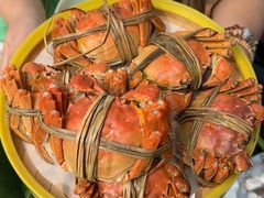-七的湖·江南蟹舫·阳澄湖农家菜(蟹舫苑店)