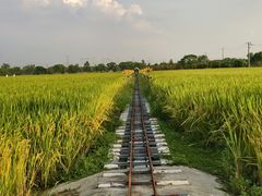 -嘉北郊野公园