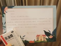 -圣爵菲斯大酒店(长沙世界之窗店)