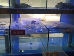 -小龍鳳·港式海鲜打边炉(沙湖路店)