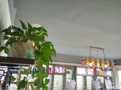 -视野联行眼镜蔡司·依视路官方授权店(顺城店)
