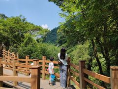 -南海湾森林生态园