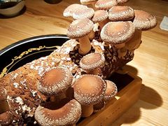 鲜菌-大头椰·椰子鸡火锅(南宁万象城店)