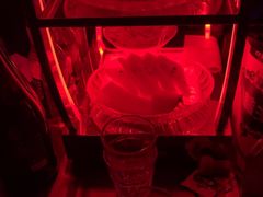 -W·CLUB(马驹桥店)