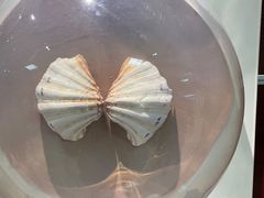 -青岛贝壳博物馆