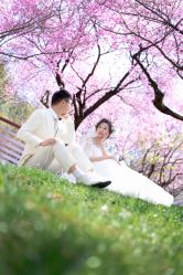 -韩国色色婚纱摄影(好评优选店)