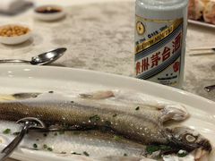 太湖白鱼-太湖饭店·寄畅轩中餐厅