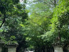 -柯岩风景区