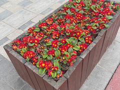 -西安创业咖啡街区