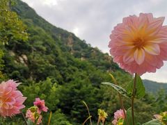 -抱龙峪