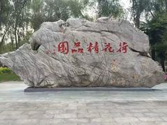 -微山湖红荷湿地景区