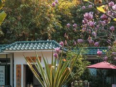 -晓港公园