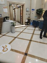 -碧莲盛·不剃发植发