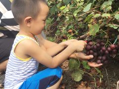 -万源龙顺度假庄园生态观光园