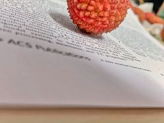 -农园餐厅(北京大学店)