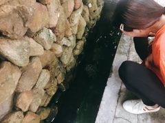 -大自然素食(望桐路店)