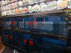 -华盛丰温州大排档(东三环南路店)
