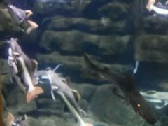 -南昌海洋公园