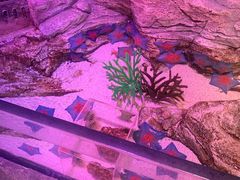 -沈阳海洋探索中心