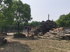 -宁波野生动物园