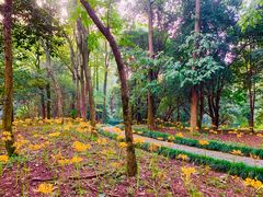 -杭州植物园