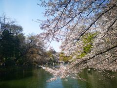 -井之头恩赐公园