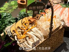 -大龙燚·旷野鲜火锅(广州首店)