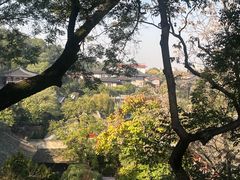 -华清宫景区
