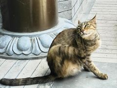 -西安大兴善寺