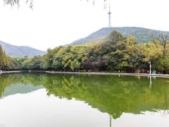 -南湖国家城市湿地公园