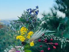 -北京西山国家森林公园