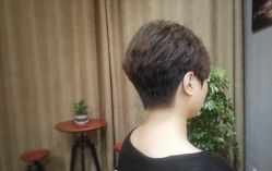 -藤野造型