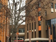 -山东省青岛第二中学(江西路分校)