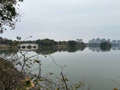 -眉山湿地公园(东坡区)