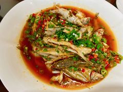 跳水鱼-飞虹鱼馆(春华路店)