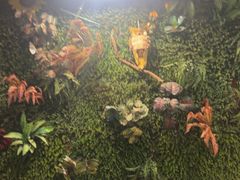 -味之绝热血美蛙鱼火锅(中坝店)