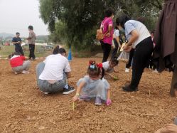 点击看大图 -浅山蜜塘奇妙乐园·亲子营地