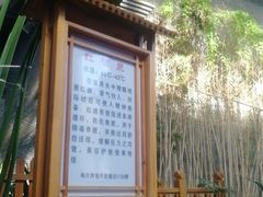 -陆地游轮吉林神农温泉