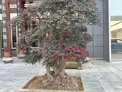 -宁波状元楼酒店(和义路店)