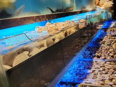 -喜庭海鲜自助(来福士店)