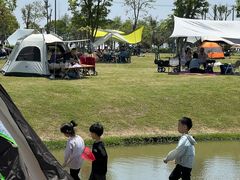 -春花秋色城市公园