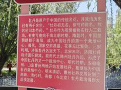 -太阳宫公园