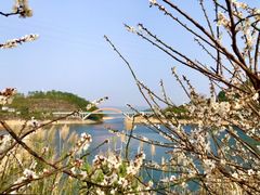 -广州市流溪河国家森林公园