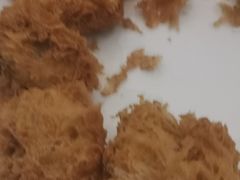-蚝家菜馆(沙井店)
